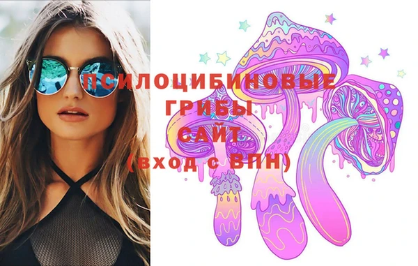 спиды Няндома