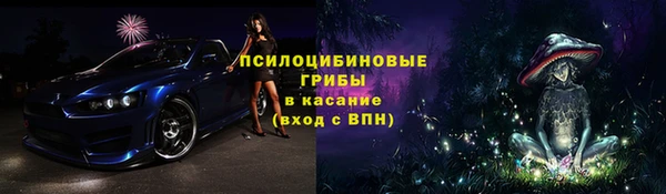 спиды Няндома
