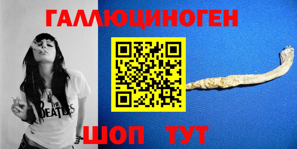 Галлюциногенные грибы MAGIC MUSHROOMS  продажа наркотиков  Североморск  Вход с VPN 