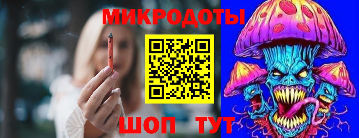 Альфа ПВП Североморск
